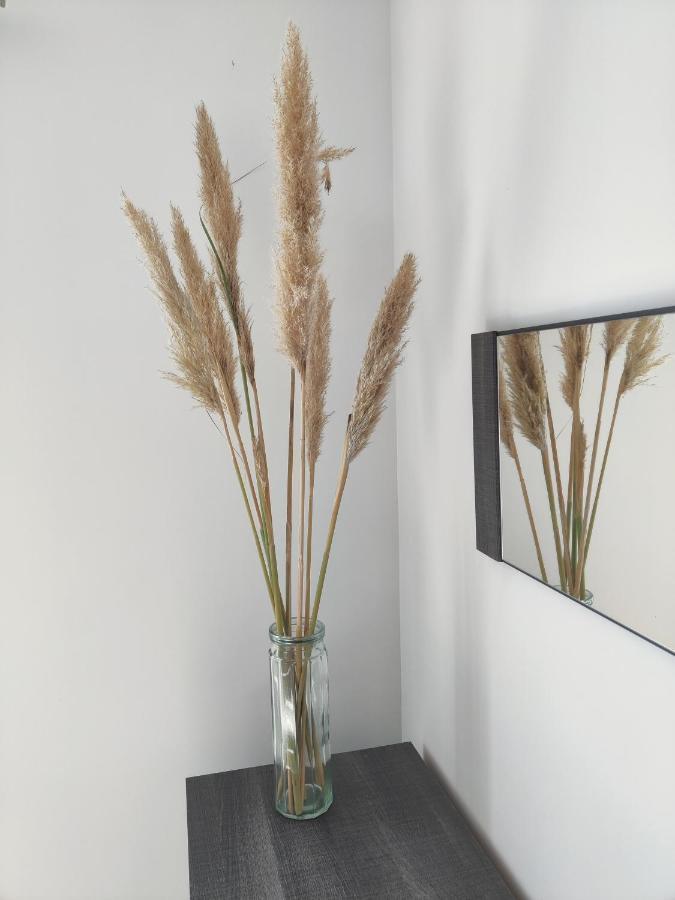 Appartement T3 PLUME Hyper centre d'ERNÉE Esterno foto